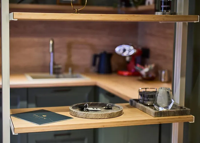 Oliv With Free Parking * Temesvár